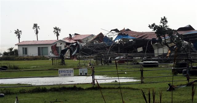 ‘미탁’ 강풍에 무너진 목장 마사