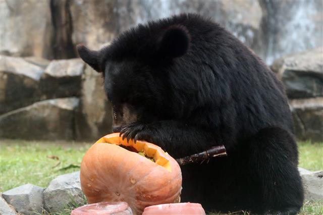 ‘이렇게 먹는게 맞나’