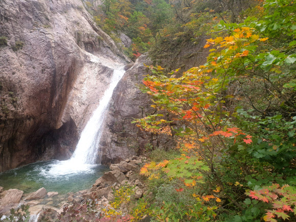 6일 오전 강원도 속초시 설악산 천불동계곡에 단풍이 물들어가고 있다. 2019.10.6  연합뉴스