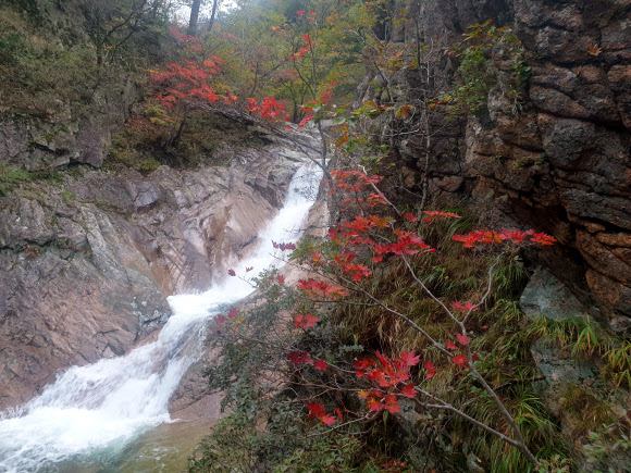 6일 오전 강원도 속초시 설악산 천불동계곡에 단풍이 물들어가고 있다. 2019.10.6  연합뉴스