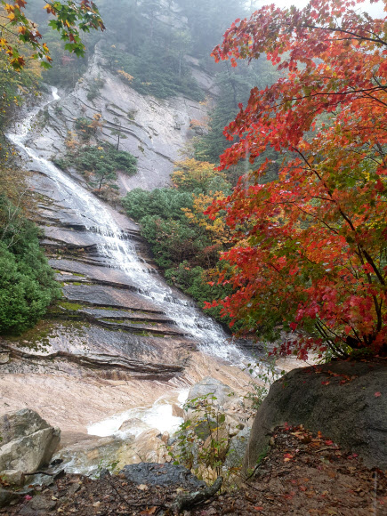 6일 오전 강원도 속초시 설악산 봉정암 계곡에 단풍이 물들어가고 있다. 2019.10.6  연합뉴스