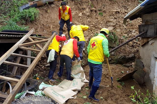 6일 오전 강원 삼척시 원덕읍 일원에서 적십자 봉사원들이 침수 피해 가구를 방문해 복구활동을 진행하고 있다.2019.10.6 대한적십자사 강원도지사 제공