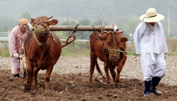 ‘힘들어도 힘내’
