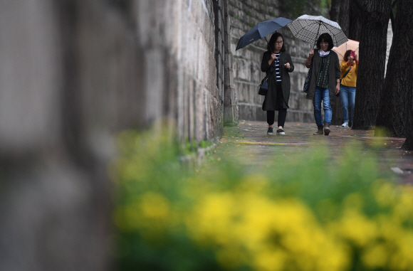 비가 내린 7일 서울 정동길에서 시민들이 우산을 쓰고 걷고 있다.  2019. 10. 7. 박윤슬 기자 seul@seoul.co.kr