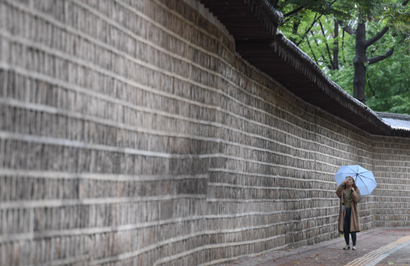 비가 내린 7일 서울 정동길에서 한 시민 우산을 쓰고 사진을 찍고 있다.  2019. 10. 7. 박윤슬 기자 seul@seoul.co.kr