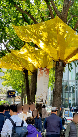 은행나무 열매 ‘그물’을 아시나요?