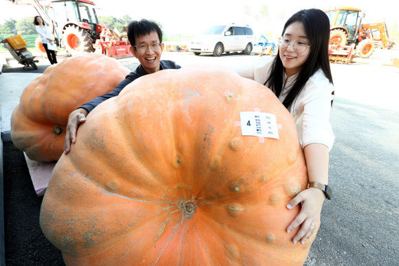 국내 최대 ‘319kg 호박’