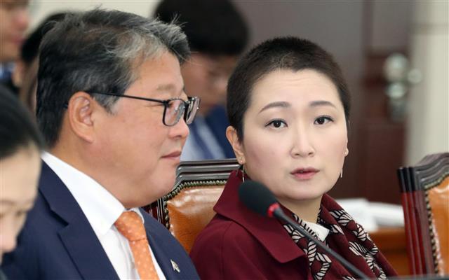 조원진 우리공화당 의원과 이언주 무소속 의원이 17일 서울 여의도 국회에서 열린 외교통일 위원회의 통일부에 대한 국정감사에서 대화를 하고 있다. 2019.10.17 뉴스1