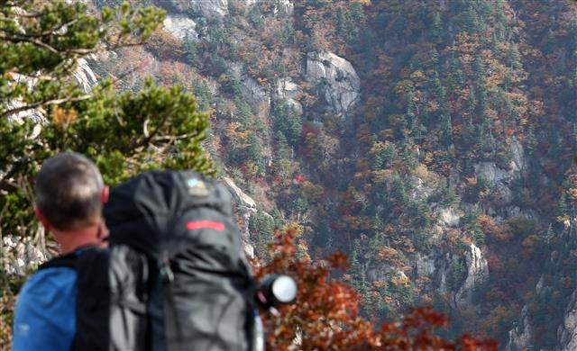 17일 강원도 설악산을 찾은 외국인 등산객이 불게 물들어가는 단풍을 감상하고 있다. 2019.10.17 뉴스1