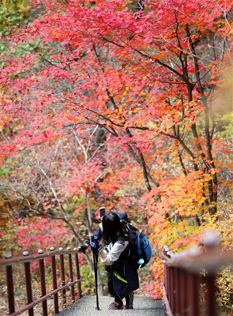 17일 강원도 설악산을 찾은 등산객이 발걸음을 멈추고 붉게 물든 단풍을 감상하고 있다. 2019.10.17 뉴스1