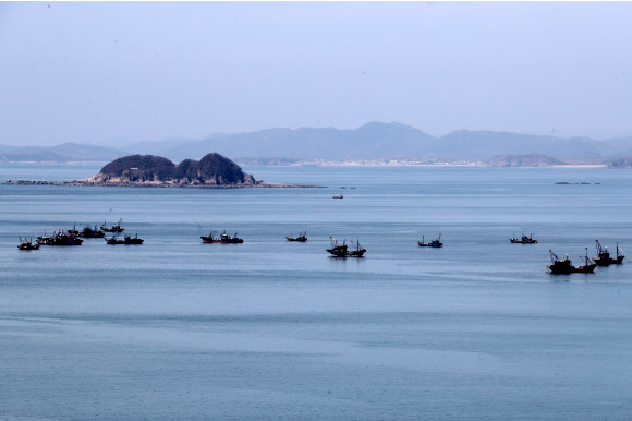 17일 인천시 옹진군 연평면 인근 해상에서 중국어선들이 불법조업을 하고 있다. 2019.10.17  인천시 옹진군 제공