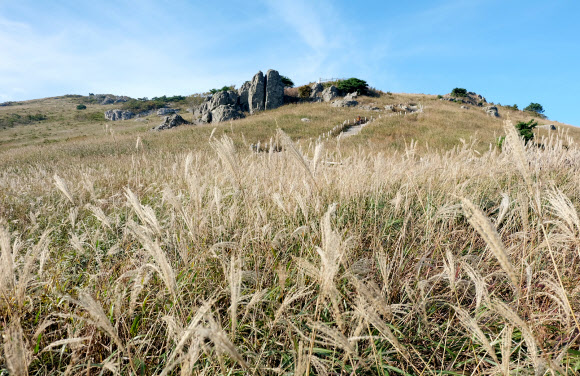 17일 ‘영남알프스’ 울산 울주군 간월재 억새 군락지 모습. 2019.10.17  연합뉴스