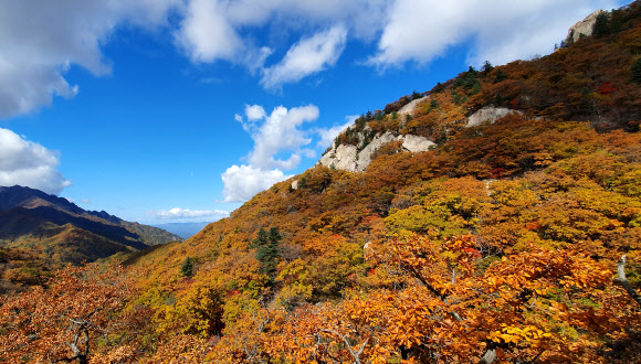 설악산 올가을 단풍 절정