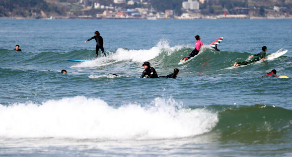 가을 파도 즐기는 서퍼들