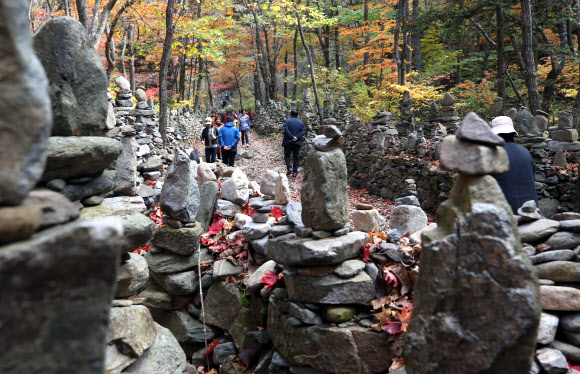 노추산 모정탑 찾은 행락객