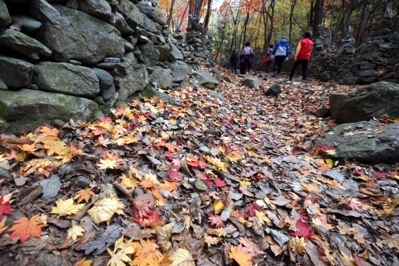 단풍 내려앉은 모정탑 가는 길