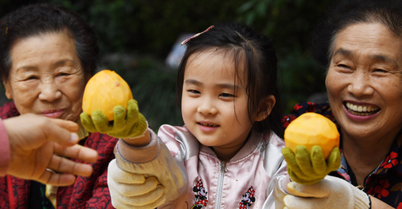 24일 서울 광진구 구립수호천사어린이집에서 열린 ‘3대가 나누는 핑크 바이러스 곶감 사랑 행사’에서 어르신들과 어린이들이 곶감을 만들고 있다. 2019. 10. 24. 박윤슬 기자 seul@seoul.co.kr