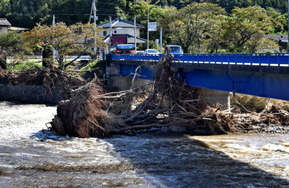 26일(현지시간) 일본 후쿠시마현 아와키시에 폭우가 내려 강을 따라 나무들이 떠내려 가고 있다. AFP 연합뉴스