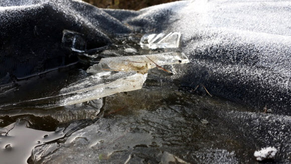 하얗게 내린 서리와 얼음
