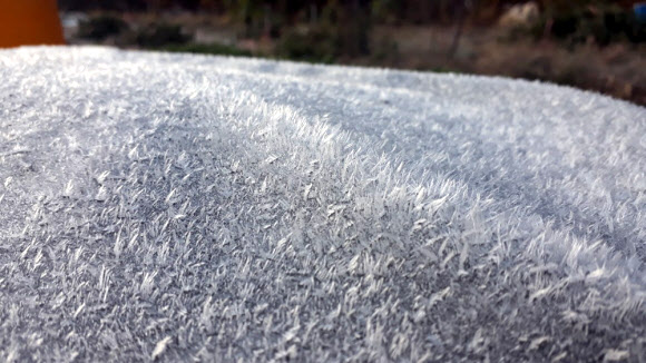 하얗게 내린 서리