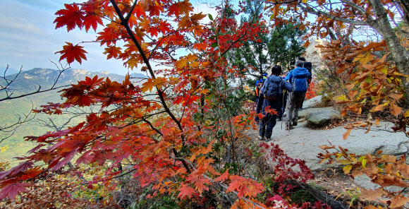 단풍 산행