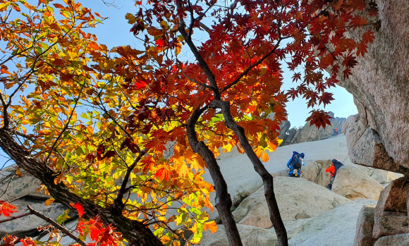 단풍 물든 북한산