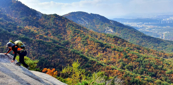 단풍으로 물들어가는 북한산