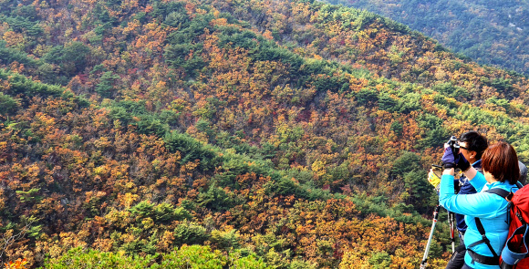 단풍 물들어가는 북한산