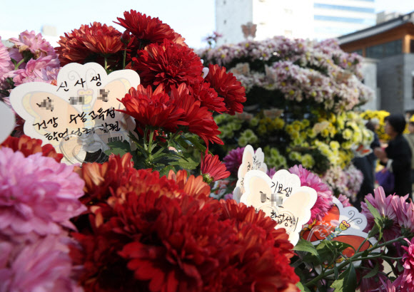가을국화에 담은 소원