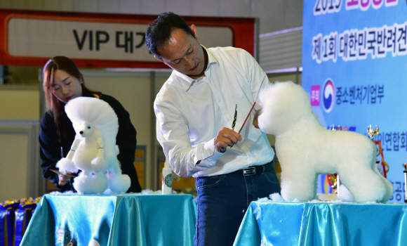 31일 일산킨텍스에서 열린 ‘2019대한민국 소상공인대회’ 중 메인행사인 ‘소상공인 기능경진대회’에 각 분야별로 참가한 선수들이 각자의 기량을 뽐내고 있다. 2019.10.31.    이종원 선임기자 jongwon@seoul.co.kr