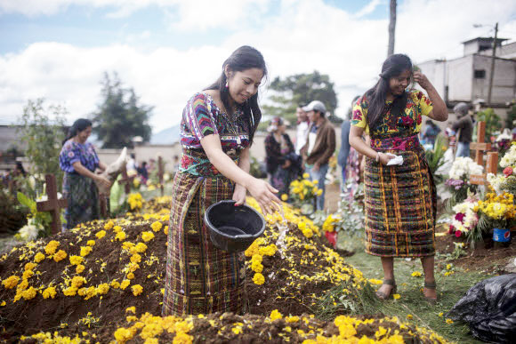 한 여성이 1일(현지시간) 과테말라 섬팡고에서 열린 ‘죽은자의 날’ 동안 꽃으로 뒤덮인 가족의 무덤에 물을 뿌리고 있다. AP 연합뉴스