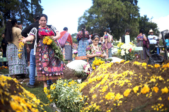 한 여성이 1일(현지시간) 과테말라 섬팡고에서 열린 ‘죽은자의 날’ 동안 가족의 무덤을 꽃으로 꾸미고 있다. AP 연합뉴스