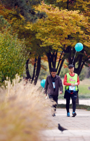 23일 서울 상암월드컵경기장 평화광장 일대에서 열린 제 9회 마약퇴치기원 걷기대회에서 참가자들이 마약퇴치를 기원하며 걷고 있다. 서울신문이 주최하고 식약처가 후원하는 이번 행사는 불법 마약류의 폐해를 널리 알려 마약퇴치의 중요성에 대한 국민들의 관심을 높이기 위해 마련됐다. 2019. 11. 02. 박윤슬 기자 seul@seoul.co.kr