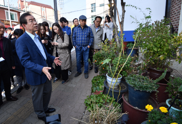 박원순 서울시장이 3일 오전 서울 종로구 통인동 일대를 방문, 한 주택 화단을 둘러보고 있다. 광화문광장 재구조화 전면 재검토와 소통 강화를 선언한 박 시장은 종로구 5개 동 주민들의 다양한 의견을 듣고 있다.   2019.11.3 박지환기자 popocar@seoul.co.kr