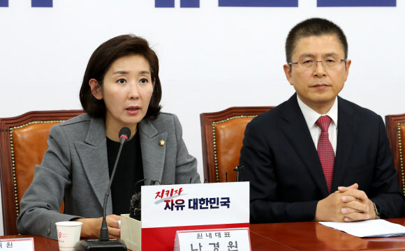 발언하는 나경원