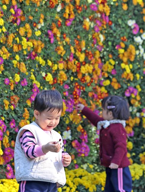 6일 울산시 북구청 광장에서 열린 국화 전시회를 찾은 어린이들이 형형색색 활짝 핀 국화꽃을 감상하며 가을 분위기를 즐기고 있다. 2019.11.6 뉴스1