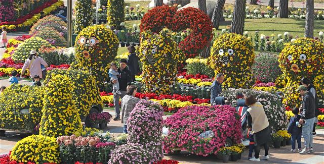 6일 울산시 북구청 광장에서 열린 국화 전시회를 찾은 시민들이 형형색색 활짝 핀 국화꽃을 감상하며 가을 분위기를 즐기고 있다. 2019.11.6 뉴스1