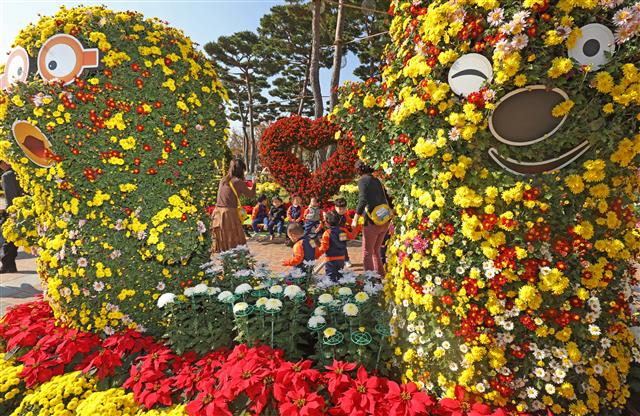 6일 울산시 북구청 광장에서 열린 국화 전시회를 찾은 어린이들이 형형색색 활짝 핀 국화꽃을 감상하며 가을 분위기를 즐기고 있다. 2019.11.6 뉴스1