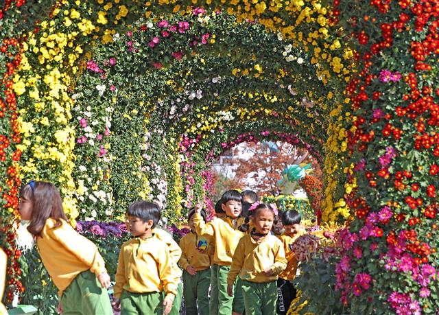 6일 울산시 북구청 광장에서 열린 국화 전시회를 찾은 어린이들이 형형색색 활짝 핀 국화꽃을 감상하며 가을 분위기를 즐기고 있다. 2019.11.6 뉴스1