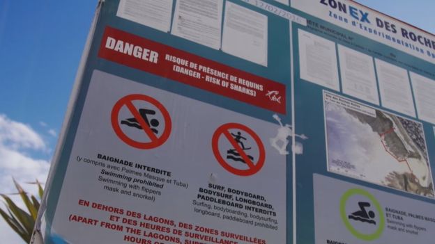 프랑스령 리유니언 섬에 들어선 수영 및 수상스포츠 금지 입간판. 영국 BBC 홈페이지 캡처