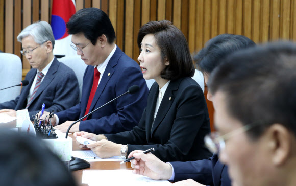 원내대책회의에서 발언하는 나경원