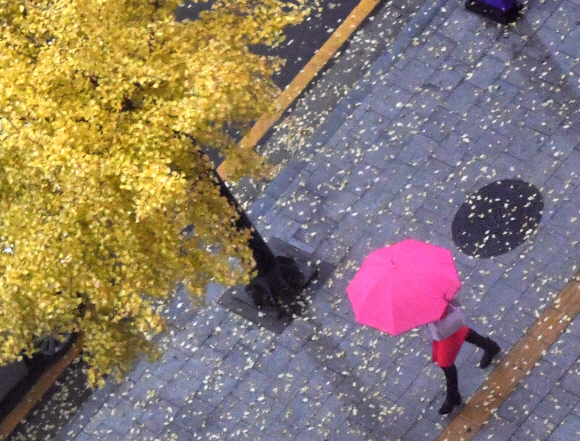 가을비가 내린 13일 서울 중구의 한 거리에서 시민들이 우산을 쓴채 길을 걷고 있다. 2019.11.13 박지환기자 popocar@seoul.co.kr