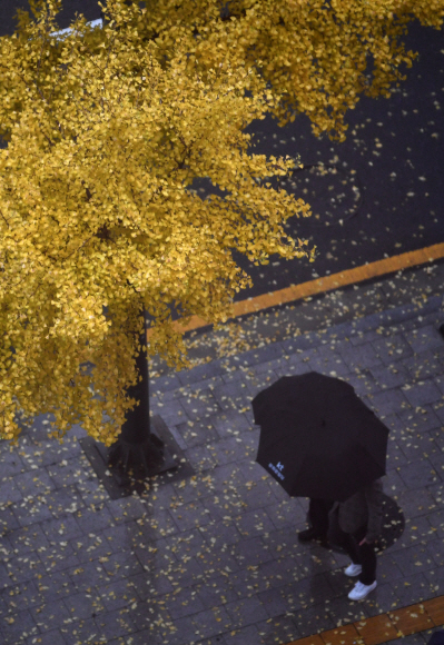 가을비가 내린 13일 서울 중구의 한 거리에서 시민들이 우산을 쓴채 길을 걷고 있다. 2019.11.13 박지환기자 popocar@seoul.co.kr