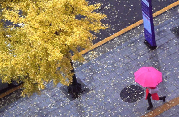 가을비가 내린 13일 서울 중구의 한 거리에서 시민들이 우산을 쓴채 길을 걷고 있다. 2019.11.13 박지환기자 popocar@seoul.co.kr