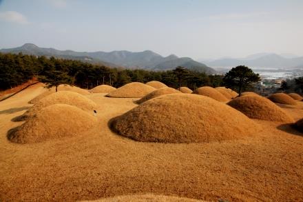 합천 옥전고분군 전경 <br>가야고분군 세계유산등재추진단 제공