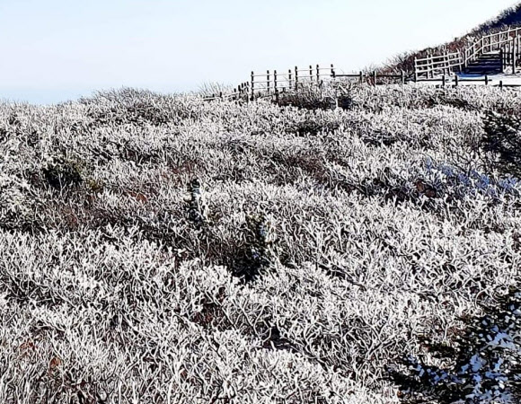 설악산 상고대 장관