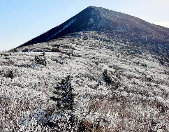 설악산 상고대 장관