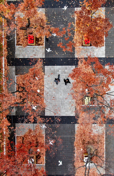 18일 오후 대전시 서구 탄방동 보라매공원에서 시민들이 낙엽길을 밟으며 발걸음을 재촉하고 있다. 대전지방기상청은 이날 오후 11시를 기해 세종시와 충남 천안·공주·계룡시, 청양군에 한파주의보를 발령한다고 밝혔다. 2019.11.18  연합뉴스