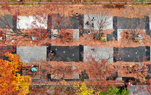 18일 오후 대전시 서구 탄방동 보라매공원에서 시민들이 낙엽길을 밟으며 발걸음을 재촉하고 있다. 대전지방기상청은 이날 오후 11시를 기해 세종시와 충남 천안·공주·계룡시, 청양군에 한파주의보를 발령한다고 밝혔다. 2019.11.18  연합뉴스