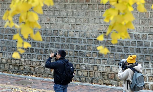 오후부터 찬 공기가 유입되면서 내륙을 중심으로 한파주의보가 내려질 가운데 18일 서울 중국 덕수궁 인근에서 외국인 관광객들이 사진을 찍고 있다. 기상청은 이날 “저기압을 따라 북서쪽에서 차고 건조한 공기가 남하하면서 중부내륙을 중심으로 내일 아침기온이 오늘보다 10도 이상 떨어질 것으로 예상한다” 밝혔다. 2019.11.18 뉴스1